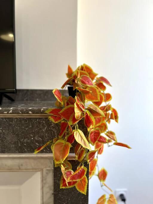 Le Toulousain 302 - Appartement Cosy En Hypercentre - Quartier Jeanne-D'Arc Toulouse Kültér fotó